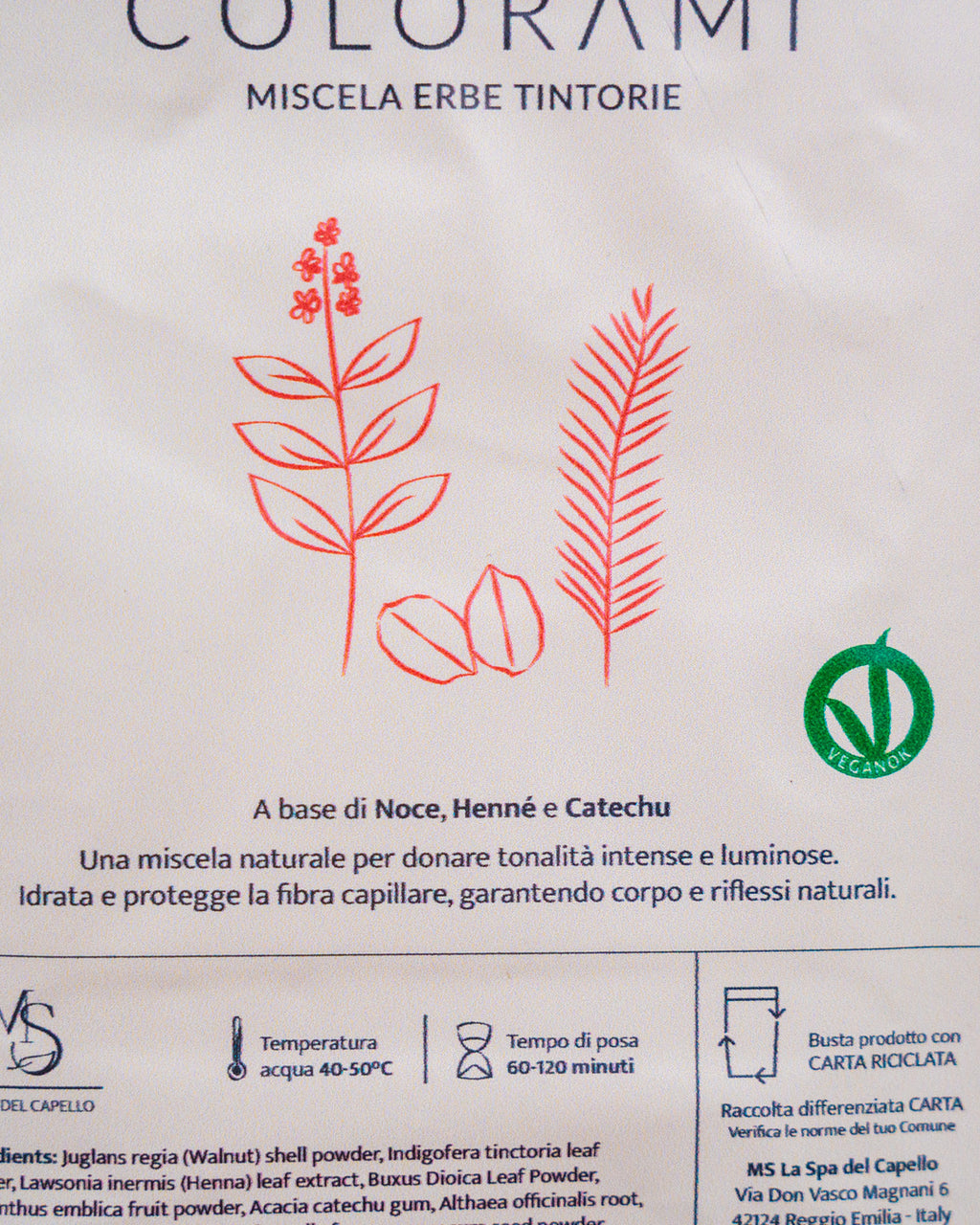 Castano bronzo
