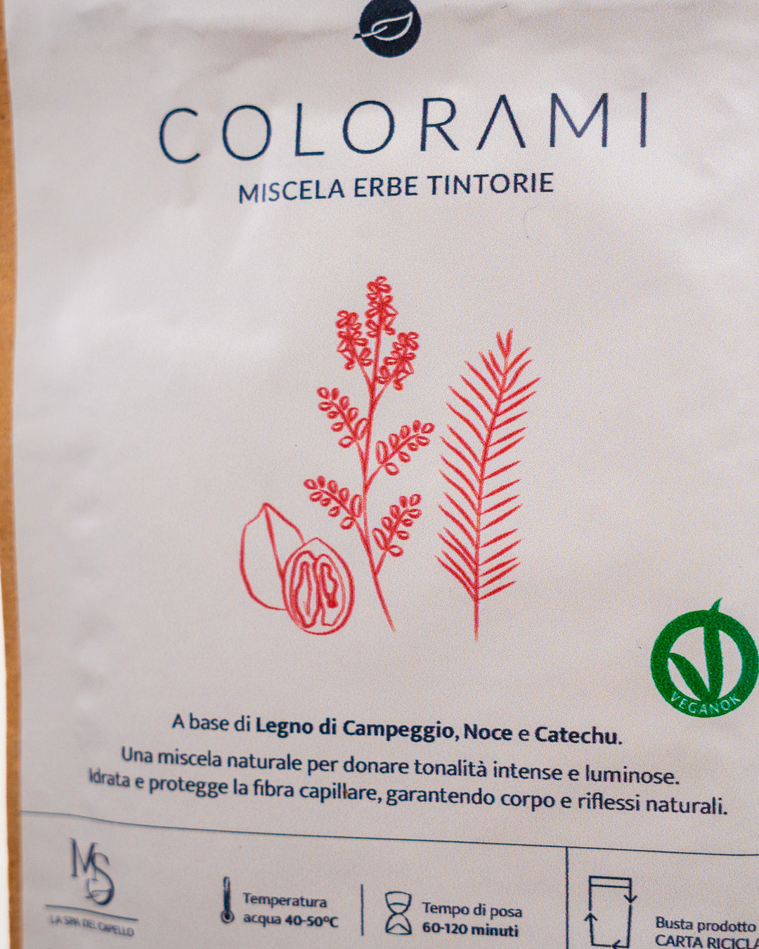 Castano cacao